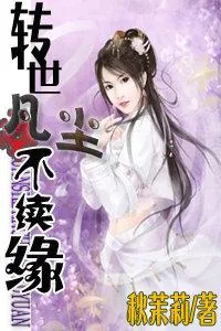 《转世凡尘不续缘》小说封面