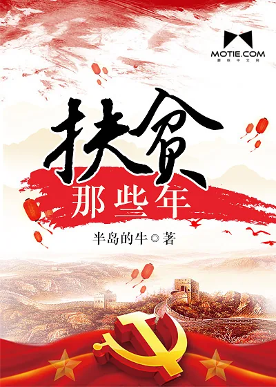 《扶贫那些年》小说封面