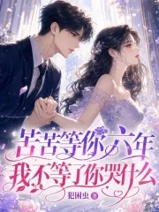 《苦苦等你六年，我不等了你哭什么》小说封面