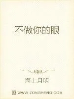《不做你的眼》小说封面