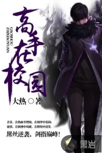 《高手在校园》小说封面