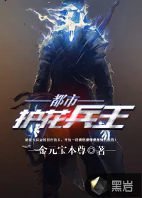 《都市护花兵王》小说封面