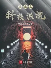 《重生之科技洪流》小说封面