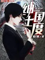 《绅士国度》小说封面