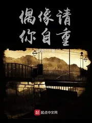 《偶像请你自重》小说封面