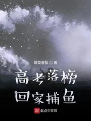 《高考落榜回家捕鱼》小说封面