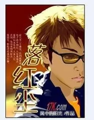 《落红尘》小说封面
