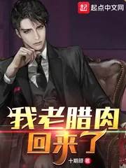 《我老腊肉回来了！》小说封面
