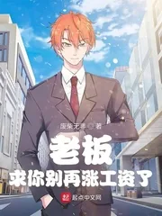 《老板，求你别再涨工资了》小说封面