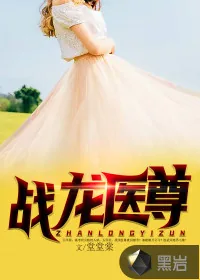《战龙医尊》小说封面