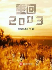 《重回2003》小说封面