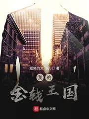 《我的金钱王国》小说封面