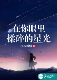 《在你眼里，揉碎的星光》小说封面
