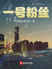 《一号粉丝》小说封面