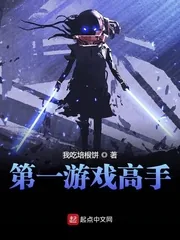 《第一游戏高手》小说封面