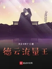 《德云流量王》小说封面