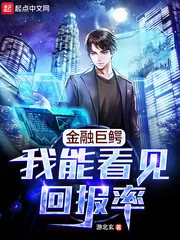 《金融巨鳄：我能看见回报率》小说封面