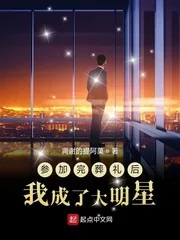 《参加完葬礼后我成了大明星》小说封面