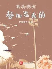 《我没想去参加选秀的》小说封面