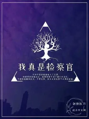 《我真是检察官》小说封面