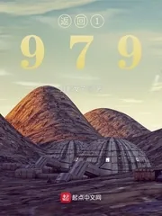 《返回1979》小说封面