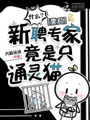 《什么？警局新聘专家竟是只通灵猫》小说封面