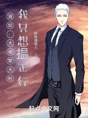 《港综：大佬擎天柱，我只想揾正行》小说封面