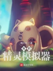 《我的精灵模拟器》小说封面