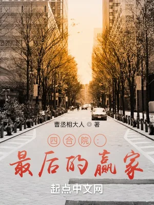 《四合院：最后的赢家》小说封面