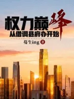 《权力巅峰，从借调县府办开始》小说封面