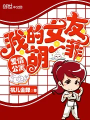 《爱情公寓：我的女友胡一菲》小说封面
