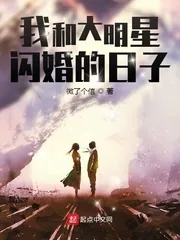 《我和大明星闪婚的日子》小说封面