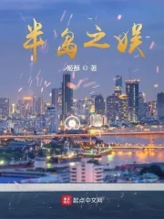 《半岛之娱》小说封面