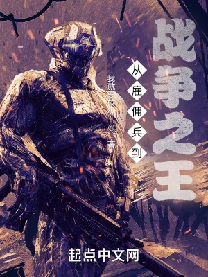《从雇佣兵到战争之王》小说封面