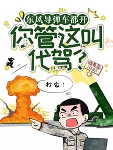 《东风导弹车都开，你管这叫代驾？》小说封面