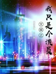 《文娱之我只是个演员》小说封面