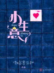 《小生意》小说封面