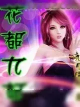 《花都九妃》小说封面