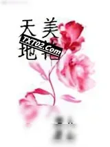 《天美地艳》小说封面
