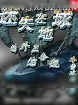 《迷失在地球的外星综合舰》小说封面
