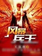 《风暴兵王》小说封面