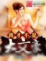 《我才不是大文豪》小说封面
