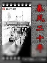 《春风二十年》小说封面