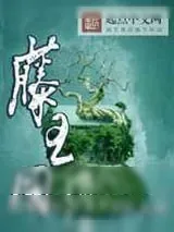 《藤王国》小说封面