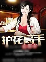 《护花高手在都市》小说封面
