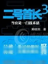 《二号首长3》小说封面