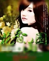 《花香满园》小说封面