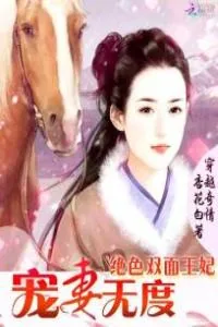 《宠妻无度：绝色双面王妃》小说封面