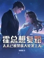 《霍总想复婚?太太已被禁欲大佬宠上天》小说封面