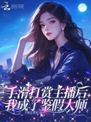 《手滑打赏主播后，我成了鉴假大师》小说封面